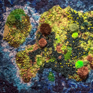 12-Centro Cultural de España